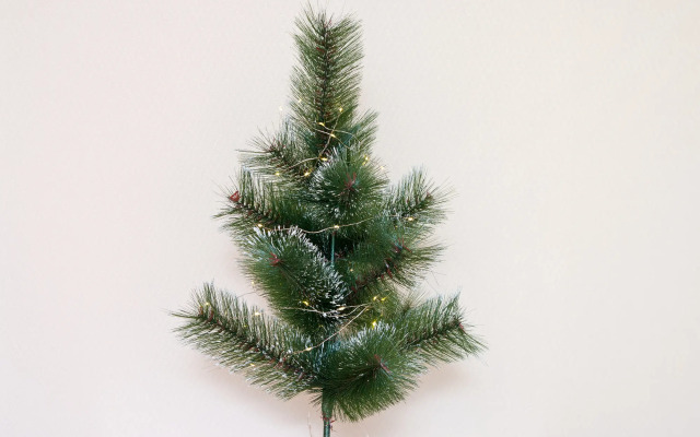 Апартаменты на улице Карла Либкнехта 30