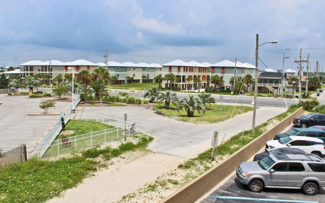 Whaler by Youngs Suncoast