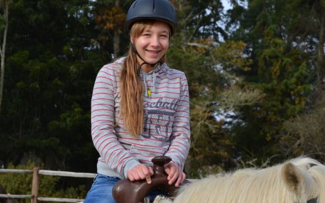 Antbear Drakensberg Lodge