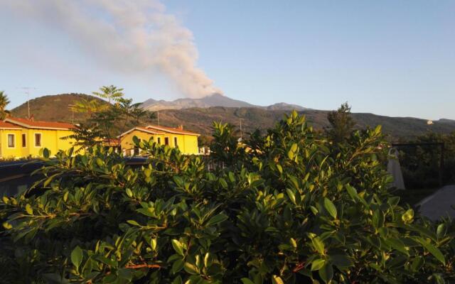 Orchidea dell'Etna