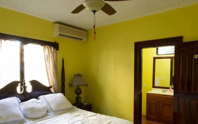 Belize Toucan Nest Hotel