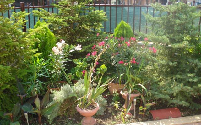 Summer Breeze Apartments