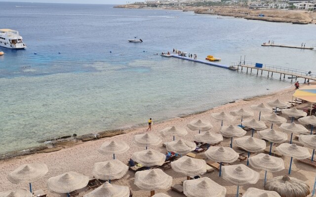 Sharks Bay Hotel & Padi Butterfly