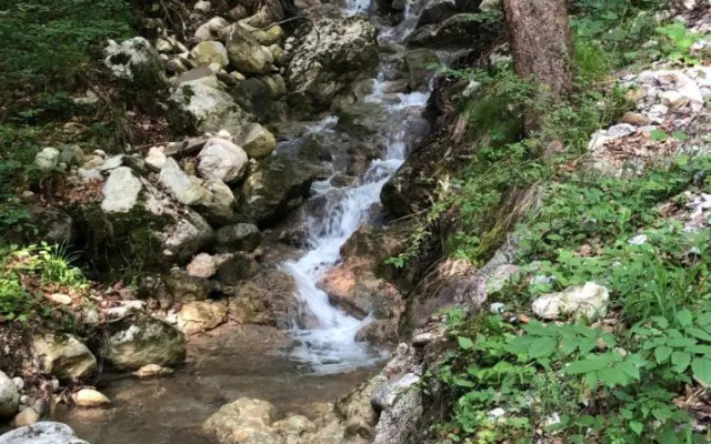 Pension Doffenmühle Köppl