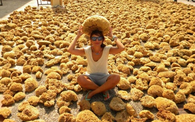 Poets Apertment in Armeos Masouri