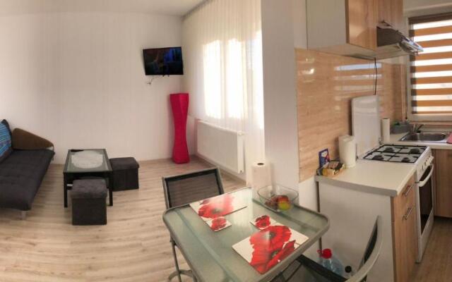 Lovely Apartment in Craiova