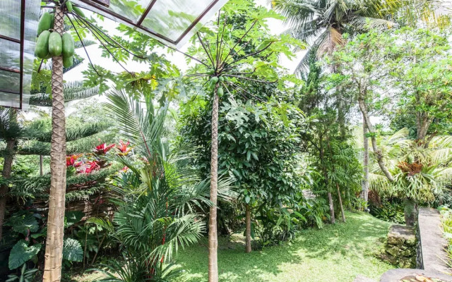 Villa Cinta
