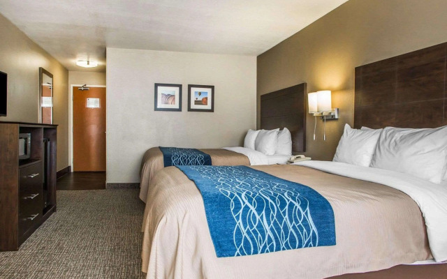 Comfort Inn & Suites Waterloo - Cedar Falls