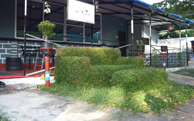 Wild Tusker Masinagudi by LexStays