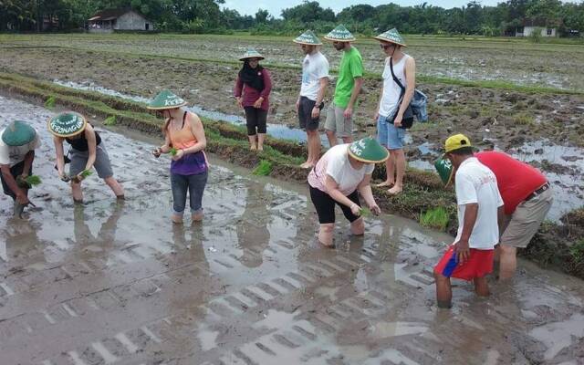 Narti Homestay