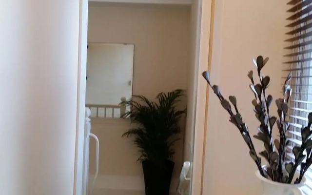 Ty Morgans Apartments