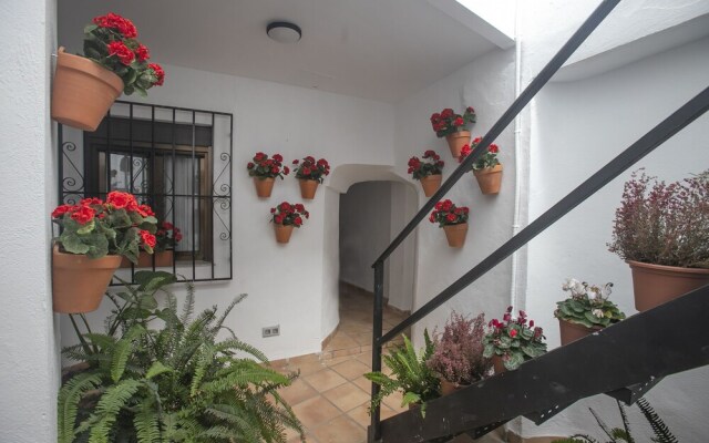Vitium Córdoba