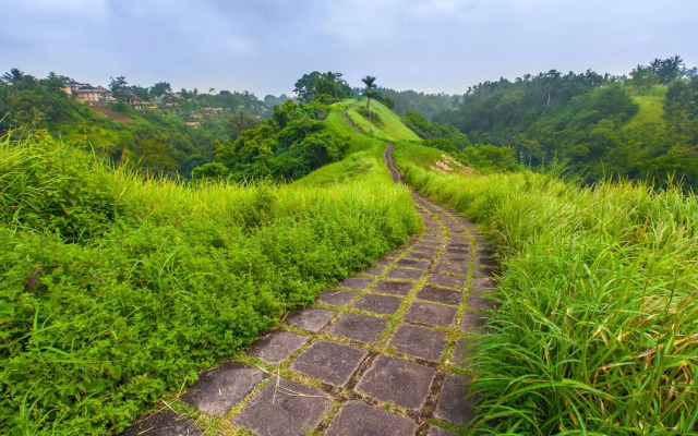 Alam Indah Ubud