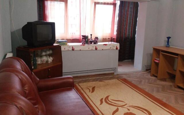 Apartament Valcea Central