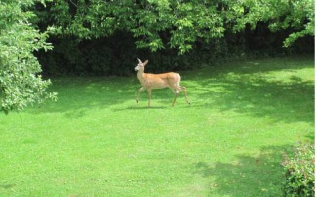 Arbor View Inn Bed and Breakfast