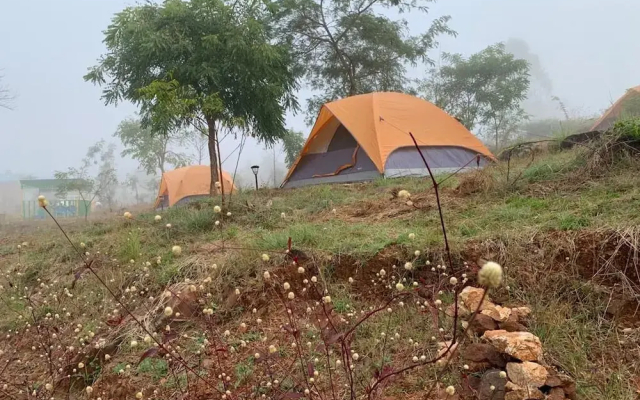 Wilderness Jungle Camp