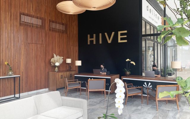 Hive Cancun