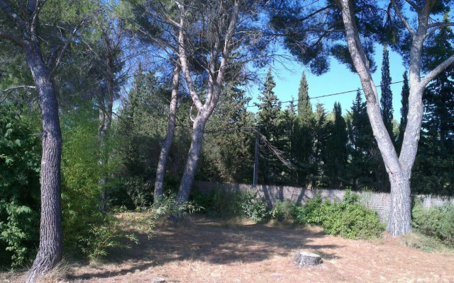 La Petite Maison Sous les Pins