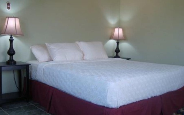New Horizon Bed and Breakfast