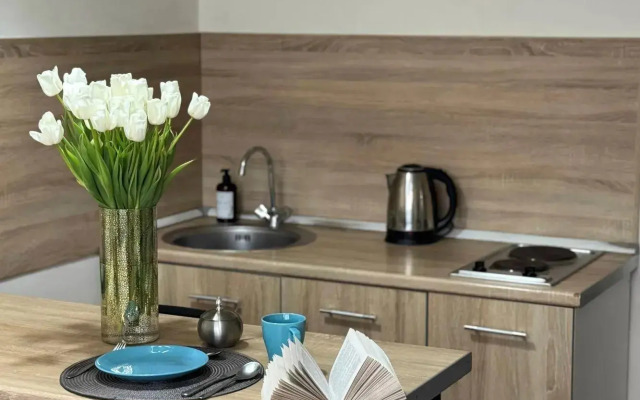 Уютные апартаменты на улице Швецова