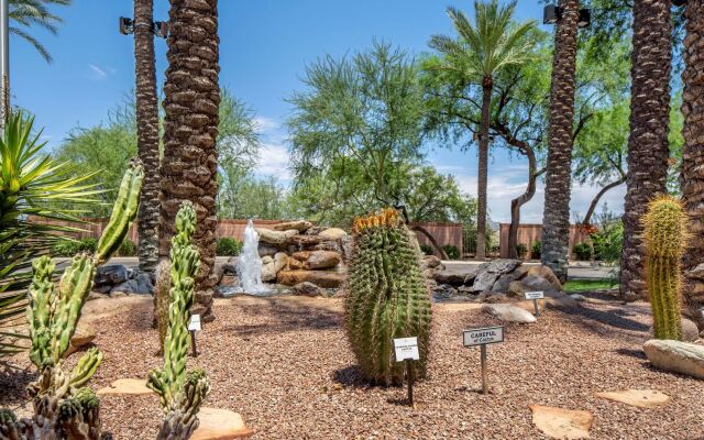 Hilton Vacation Club Scottsdale Villa Mirage