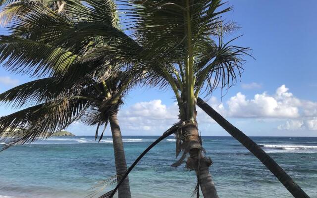 The Palms at Pelican Cove