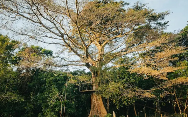 Nangú Glamping Experience