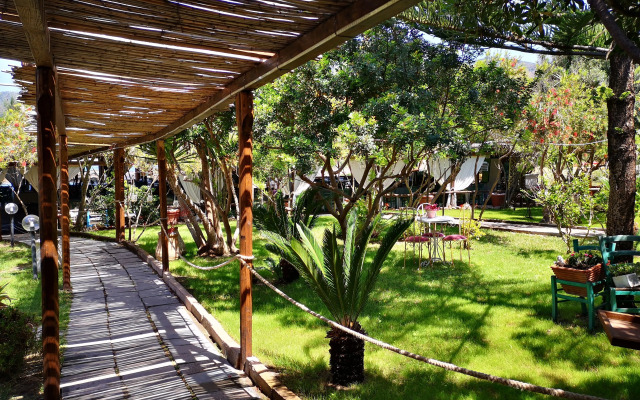 Sabba Druche Spiagge