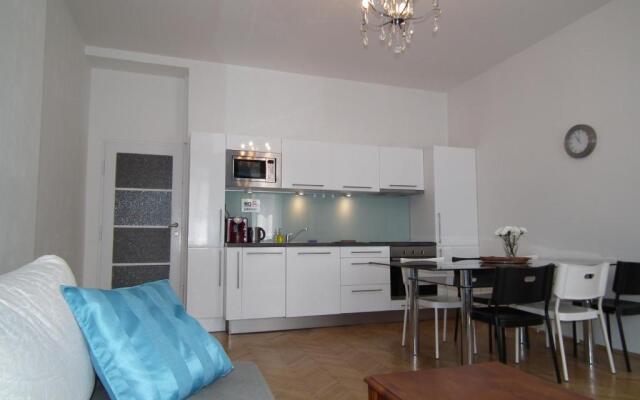 Old Town spacious apartment