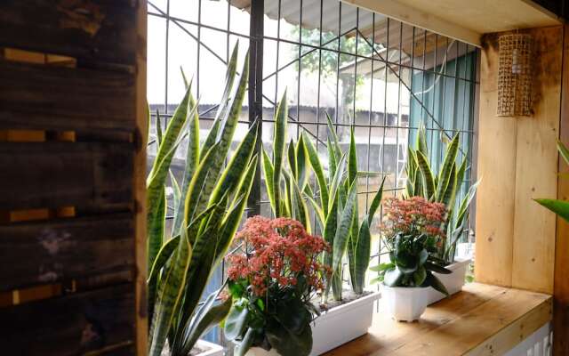 A Green Home