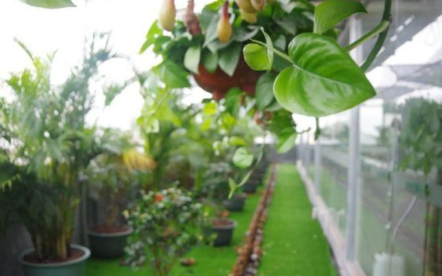 Young Trees Fashion Hotel