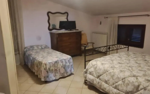 Nova Domus