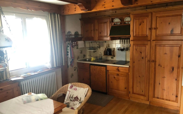 Ferienhaus Lickert Ferienwohnung Süd Feldberg