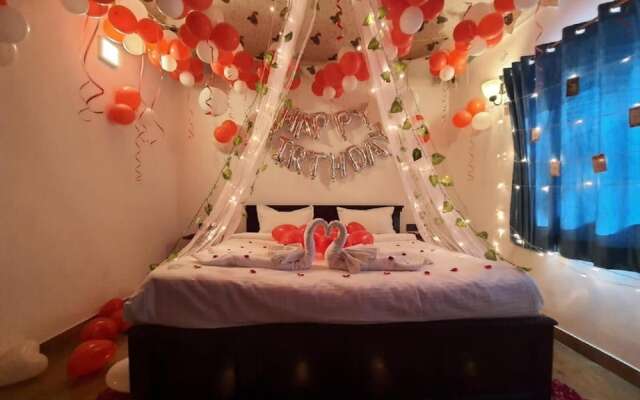 The Timber Garden Adventure Club