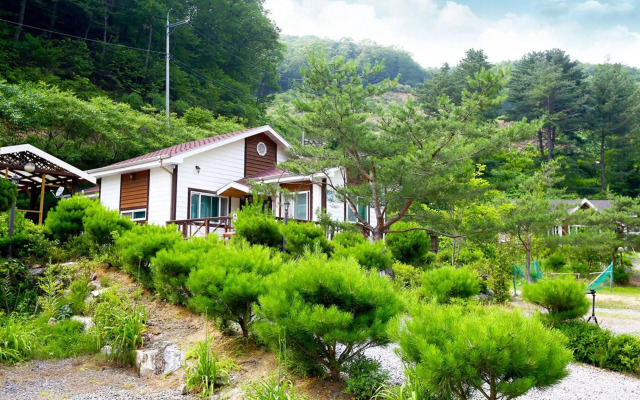 Chouette Pension