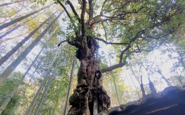 Non-Fanchengpin Hotel Wuyishan Resort