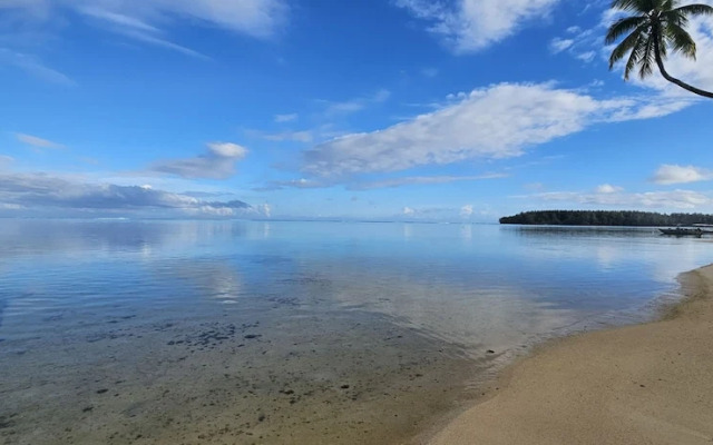 Moorea - Tropical Nest
