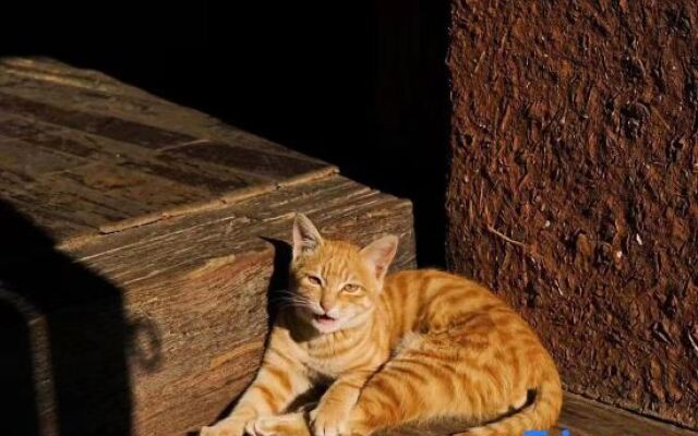 Yunfan Shanju Snow Mountain View Inn (Lijiang Shuhe Ancient Town)