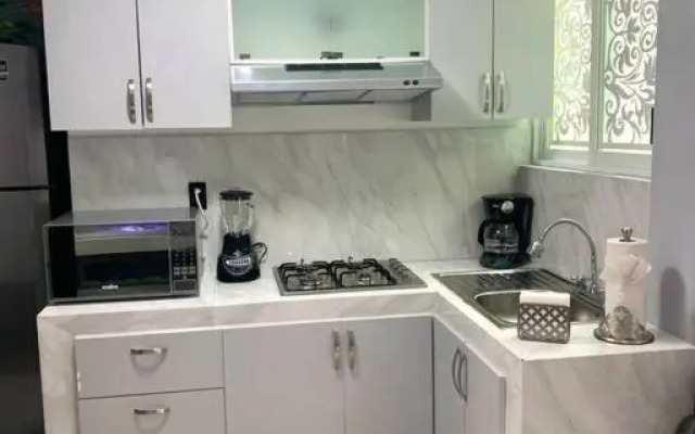 Private Penthouse / Penthouse Privado