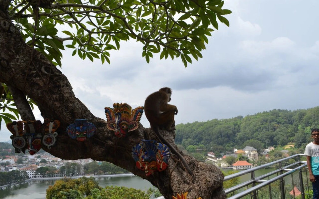 The Prestige Villa Kandy