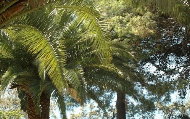 Hotel Bastina Sveti Križ