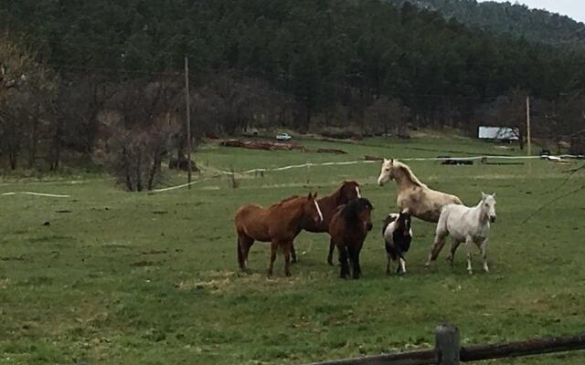 Ghost Canyon Dude Ranch