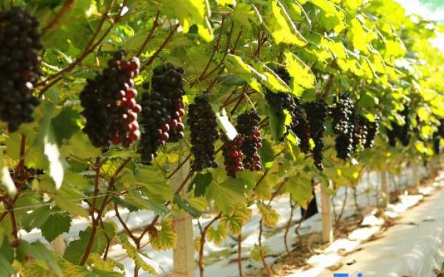 Guangzhou Datangbian Boutique Homestay