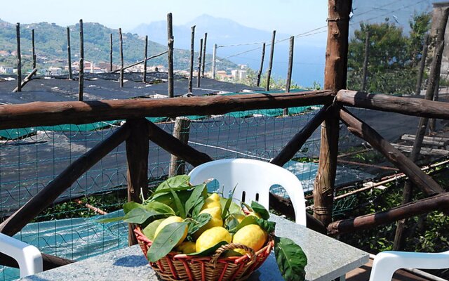 Limoneto a Priora