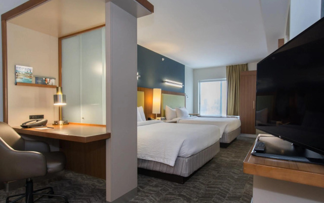 SpringHill Suites by Marriott Columbia Downtown/The Vista