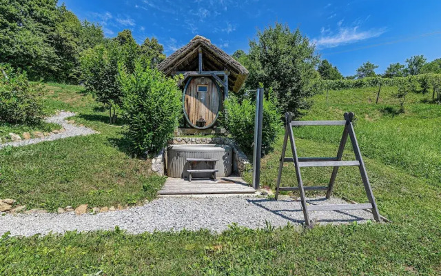 Vineyard Cottage Pavlin 2
