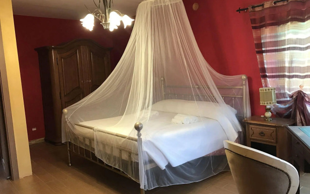 La Rosa tra le Vigne