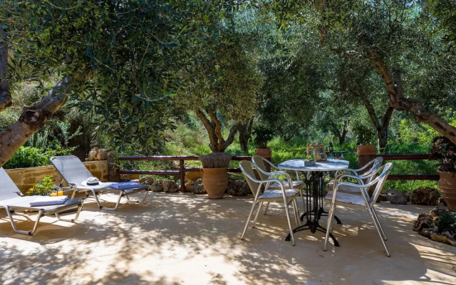 The Olive House