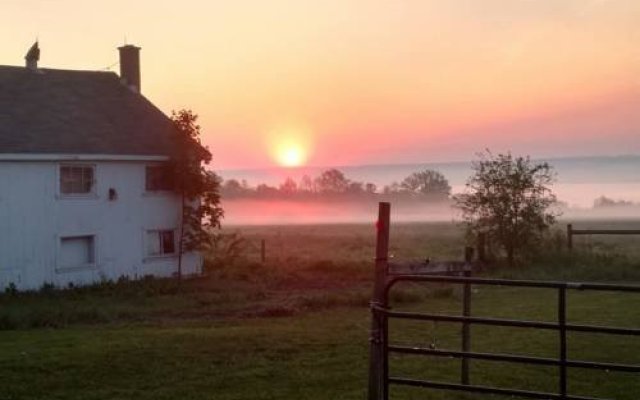 Cayuga Morning Star Bed and Breakfast