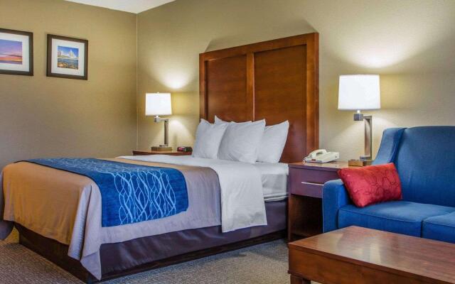 Comfort Inn & Suites Jackson - West Bend